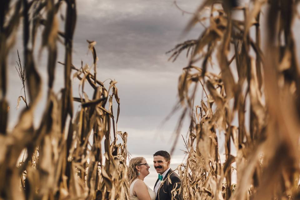 Love in a cornfield