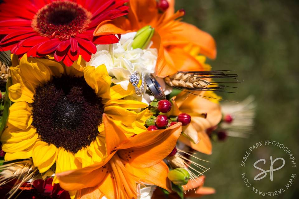 Sable Park Photography