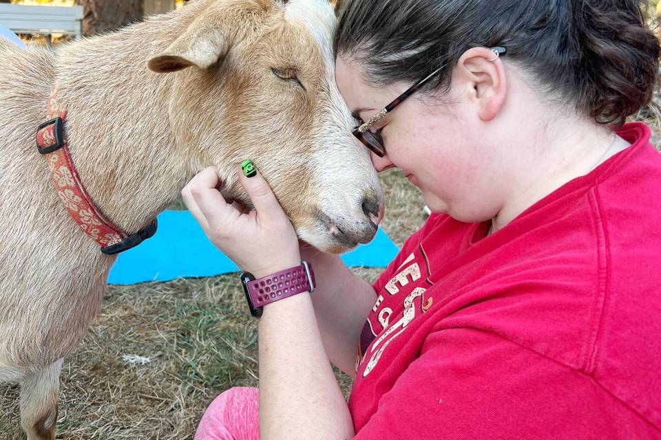 Goat Yoga