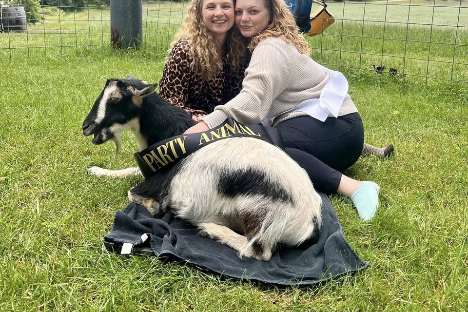 Bridal Party Goat Yoga