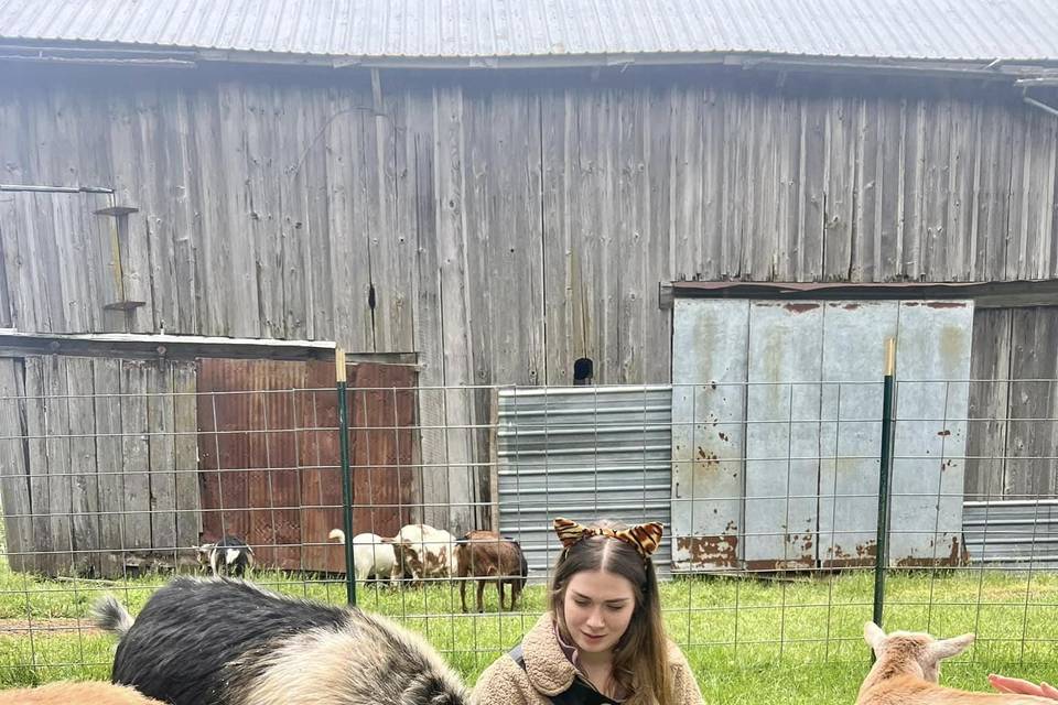 Bridal Party Goat Yoga
