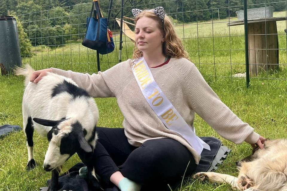 Bridal Party Goat Yoga