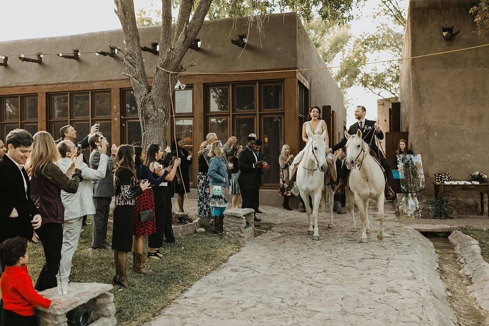 Horse entrance
