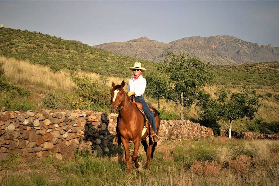 Cibolo Horseback
