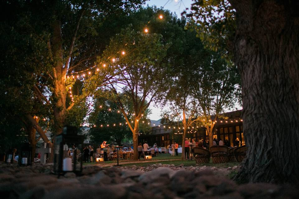 String lights reception