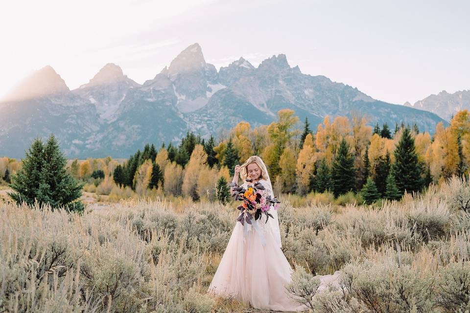 Teton Destination Wedding