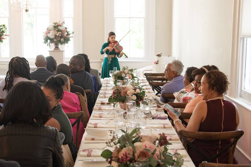 Violinist for Weddings