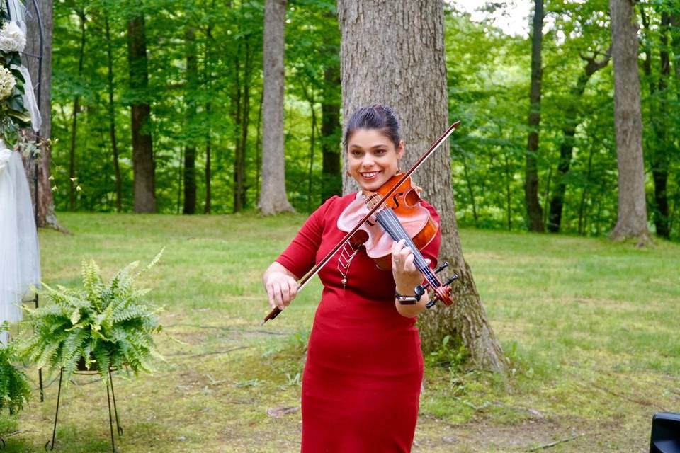 Acoustic Viola For Weddings