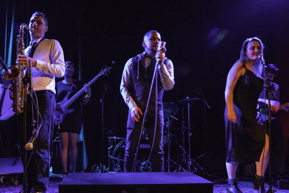 Steady Eddy and the Shakers