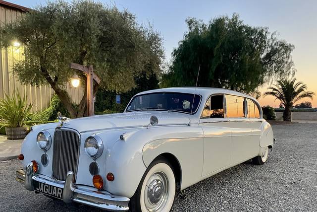 Royal Coach Limousine