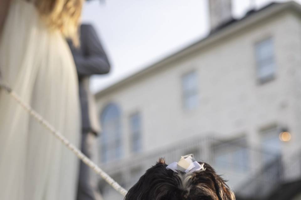 Ring bearer