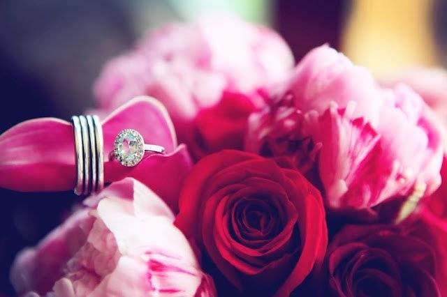 Michealan Marie Photography