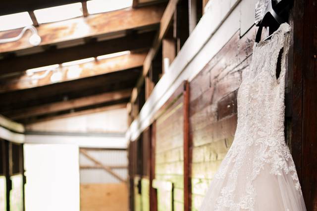 Wedding Dress Photo