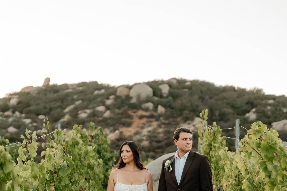 Wedding Photo