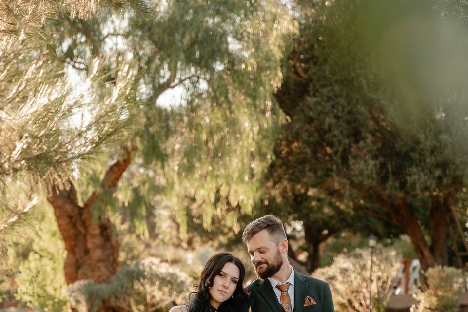 Wedding Photo