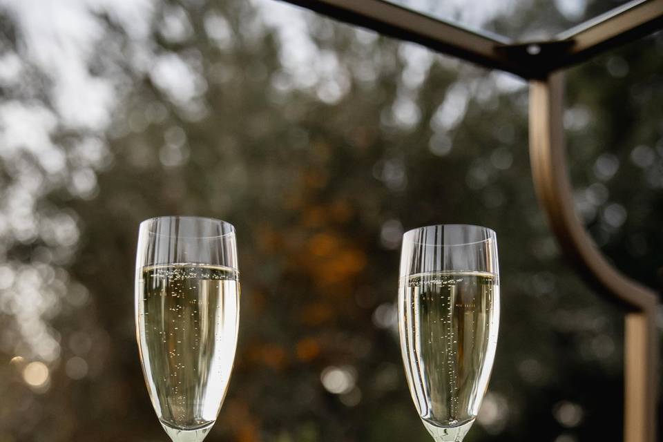 Elegant Wedding Photography in