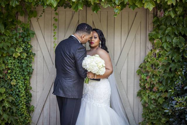 Visual Renaissance Photography & Event Planning