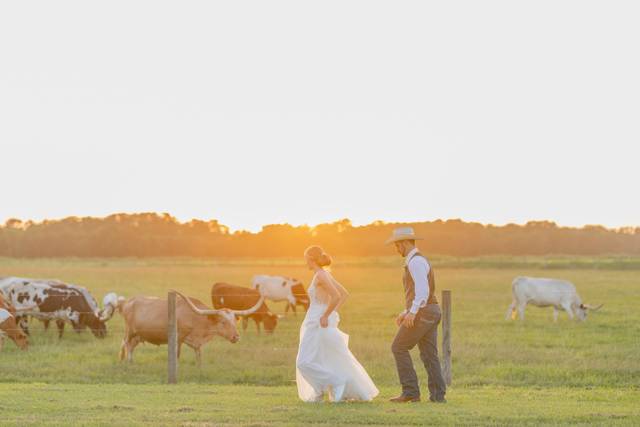 Circle of Seven Ranch