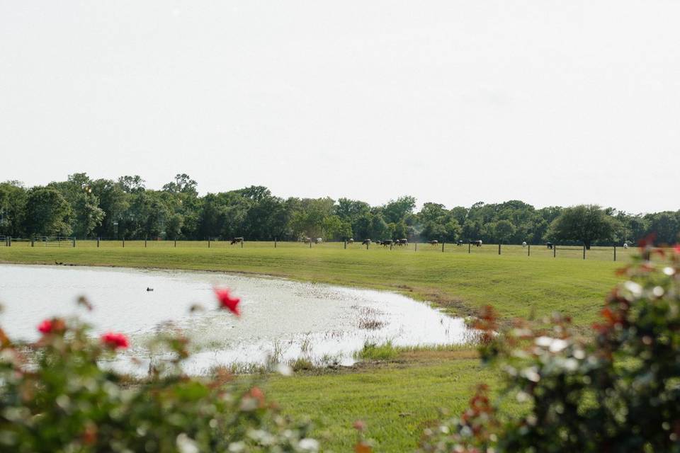 Circle of Seven Ranch