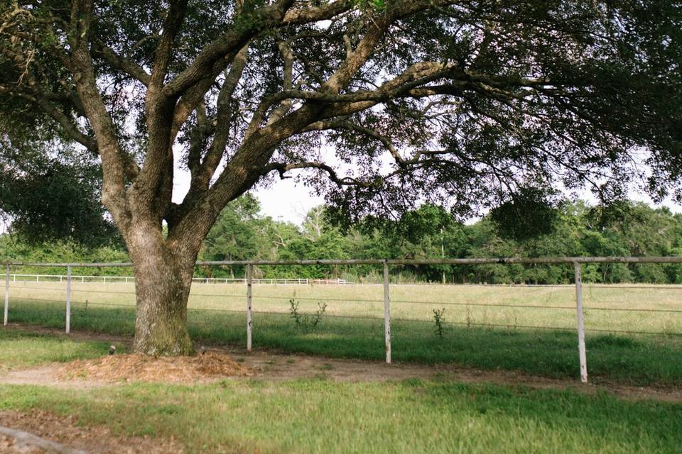 Circle of Seven Ranch