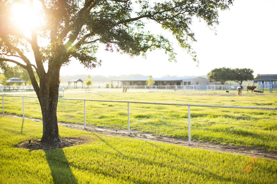 Circle of Seven Ranch