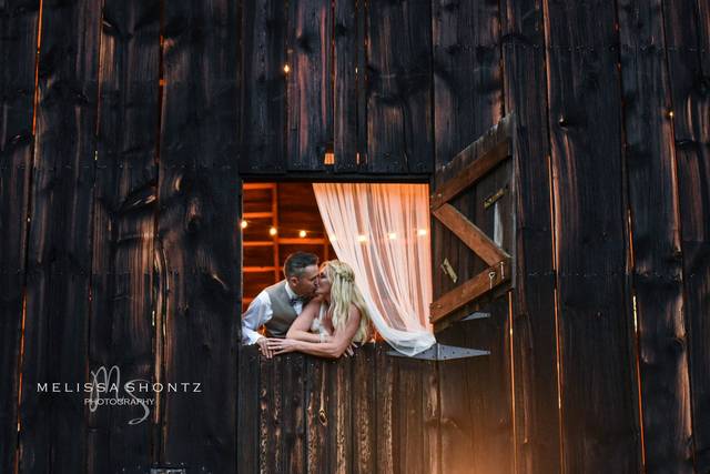 Melissa Shontz Photography