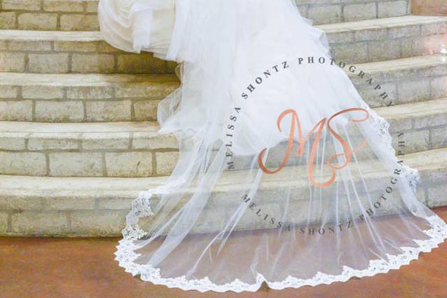Melissa Shontz Photography