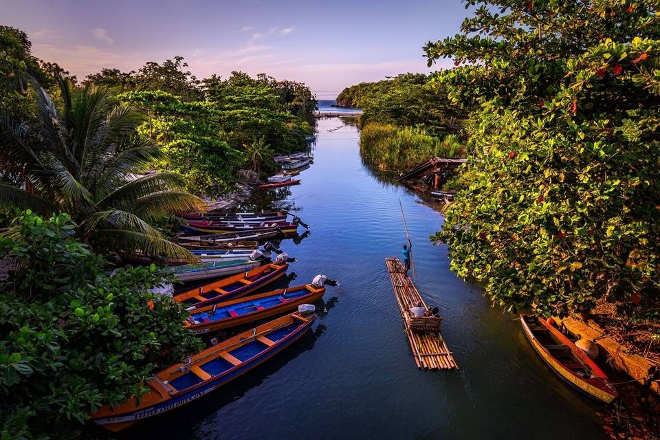 Jamaica island green