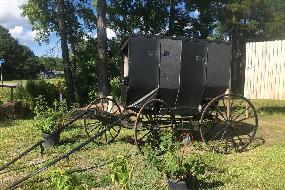 Authentic Amish wagon... elegant entry for the lovely bride!