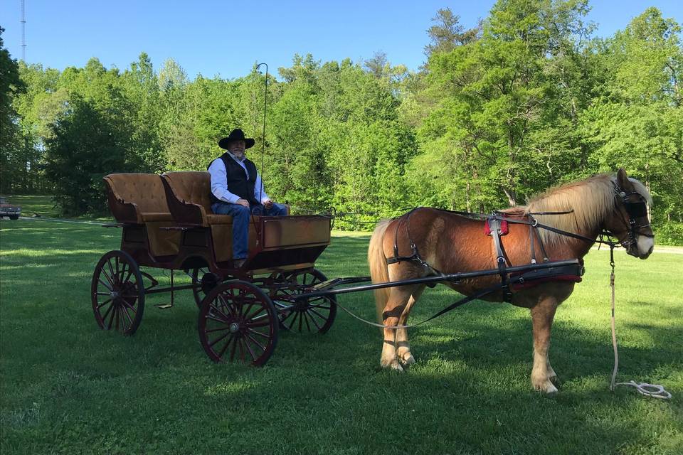 Horse Drawn Carriage