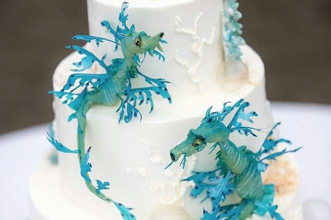 Chocolate Leafy Seadragons