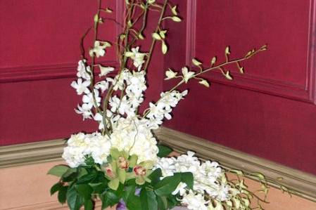 Orchid Creation