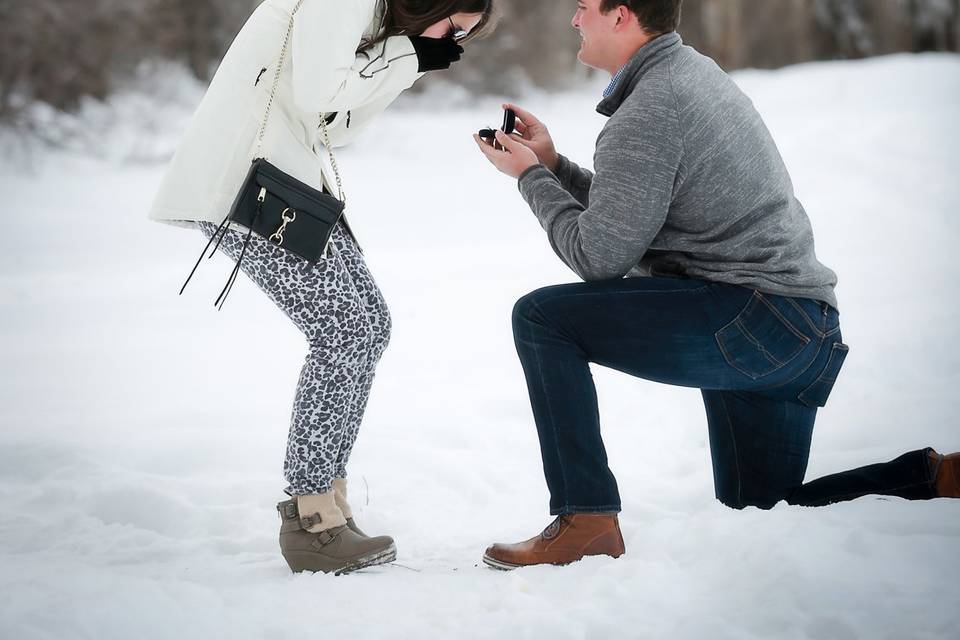 Steamboat Proposal