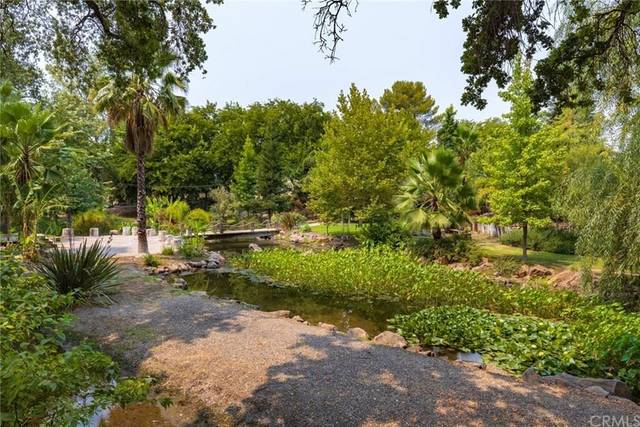 Garden area