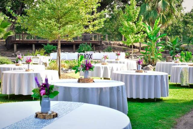 Table setup