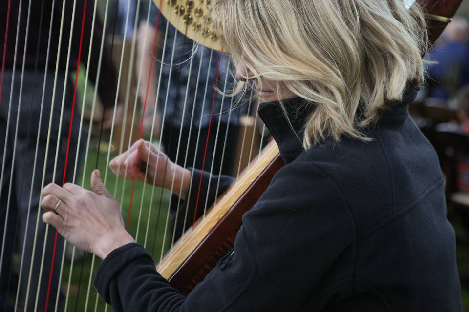 Leigh Brown Harpist