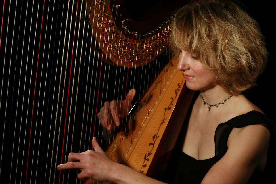 Leigh Brown Harpist