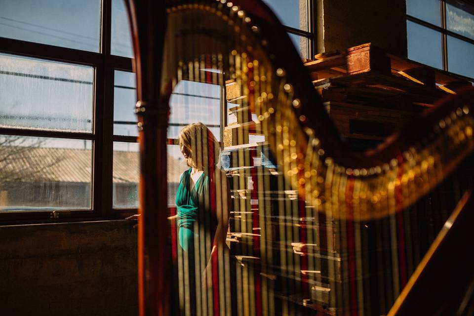 Harp by the window