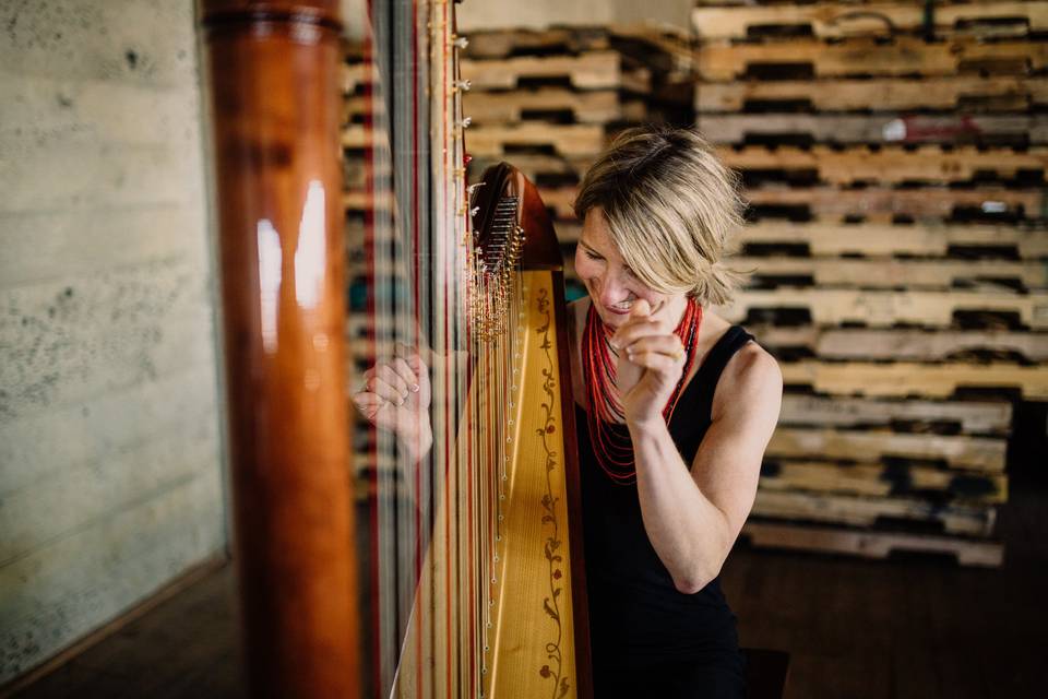 Leigh Brown Harpist