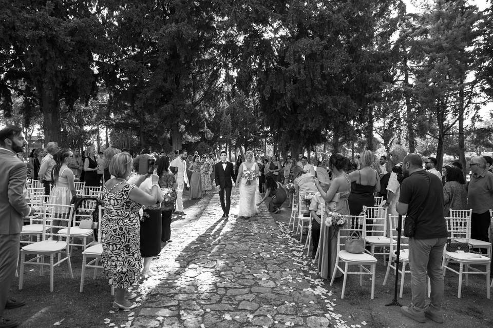 Wedding Day