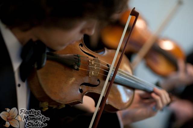 Grazioso String Quartet