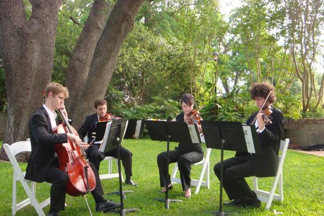 Grazioso String Quartet