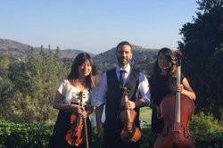 OC Strings
