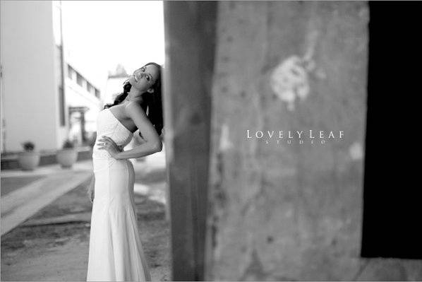 urban bridal portrait, encore session