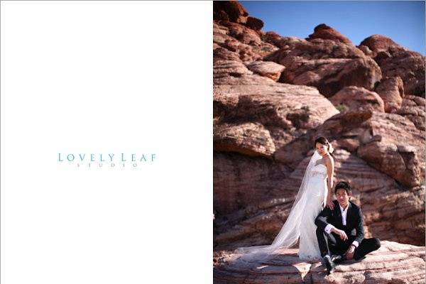 las vegas wedding photographers