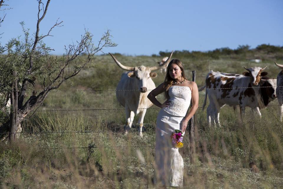 Even the cattle were drawn to this amazing Bride! `~) Custom Made Mexican (Chiapas) Wedding dress. A gorgeous West Texas day on the Pinto Canyon Road near Marfa Texas in the Big Bend Region of southwest Texas.
