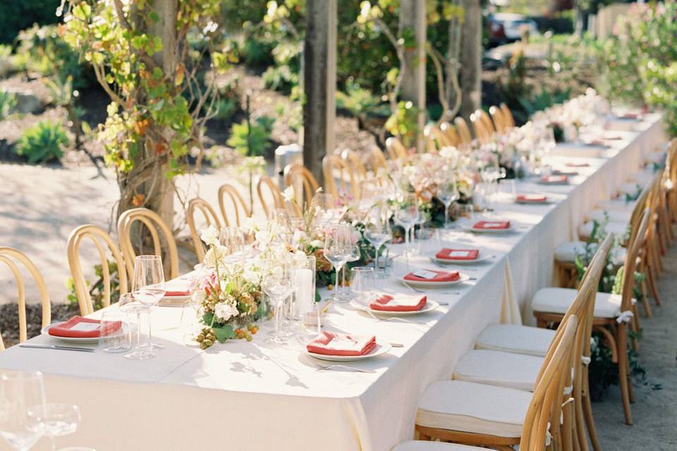 Dinner under the pergola