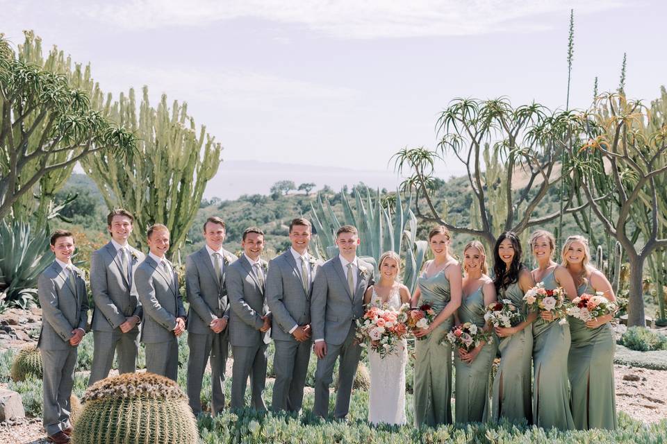 Wedding Party Cactus Garden