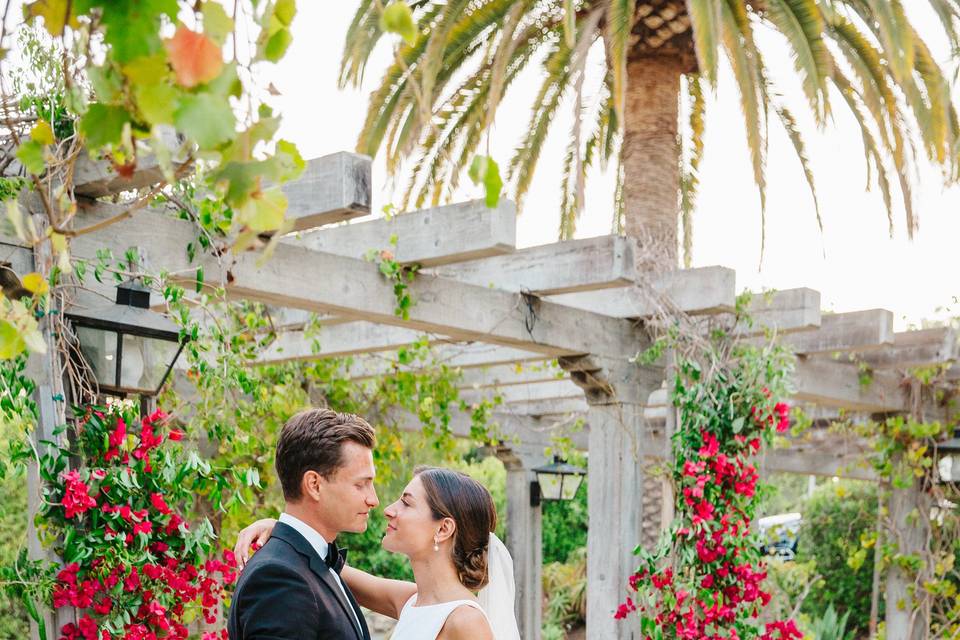 Bougainvillea altar