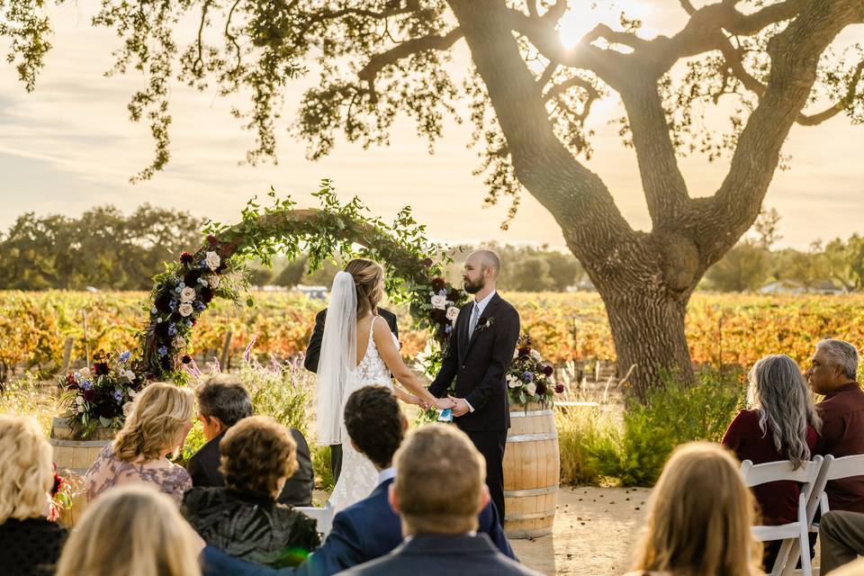 Winery wedding ceremony